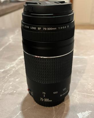 CANON EF 75-300 f4-5,6