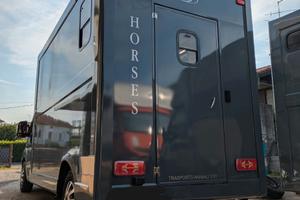 Van trasporto cavalli patente b