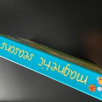 Gioco Magnetic Season Sevi Trudi