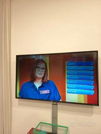 TV LG 49 pollici 