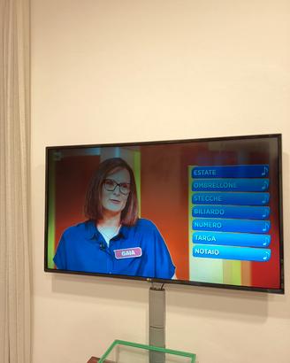 TV LG 49 pollici 