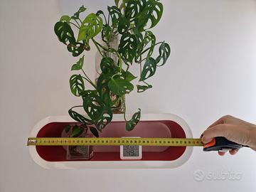 Mensole bianche e rosse