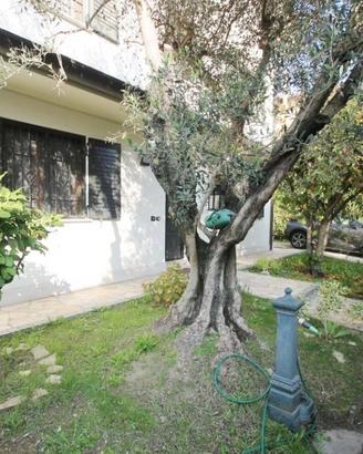 Villa di 237 m² con più di 5 locali e box auto dop