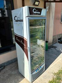 Congelatore Verticale Professionale