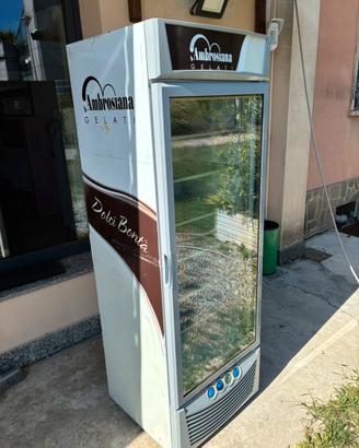 Congelatore Verticale Professionale