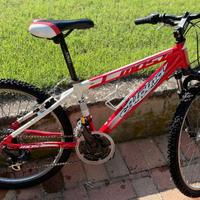 mountain bike