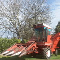 SFOGLIATRICE per MAIS modello BURGOLIN GX300