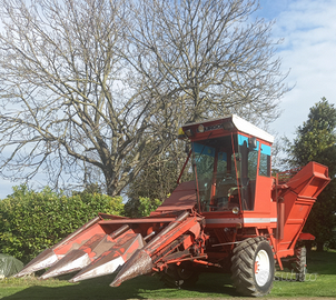 SFOGLIATRICE per MAIS modello BURGOLIN GX300