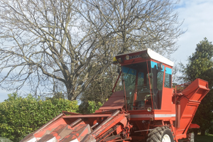 SFOGLIATRICE per MAIS modello BURGOLIN GX300