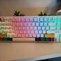 Tastiera Meccanica RGB Epomaker Ajazz K870T