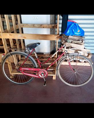 Bicicletta vintage