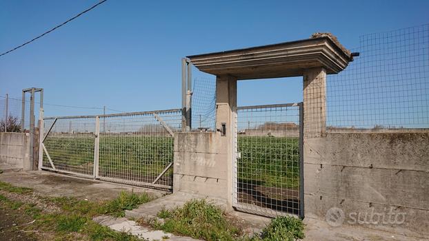 Terreno con tre cancelli area di settembre