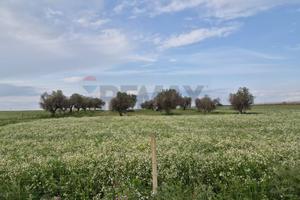 Terreno - Vittoria