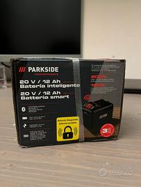 Batteria Parkside Performance 12ah X20vTeam