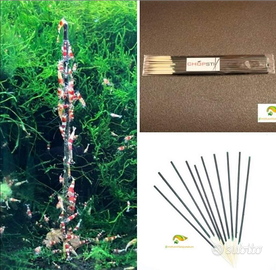 Caridine mangime a Stick x la colorazione