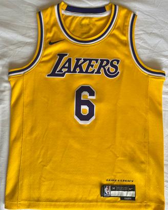 NBA LA Lakers Lebron James #6 Icon Edition