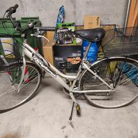 bicicletta Daytona donna