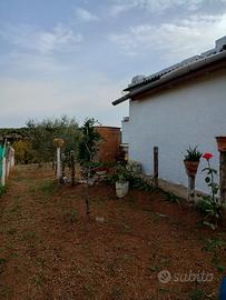 Terreno c. da Pescarella/difesa