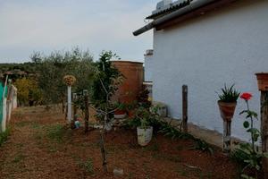 Terreno c. da Pescarella/difesa