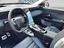 Immagine 11