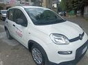 fiat-panda-1-0-2024