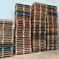 Pallet 120x80 cm