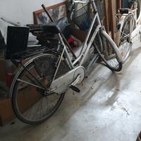 Bici da donna