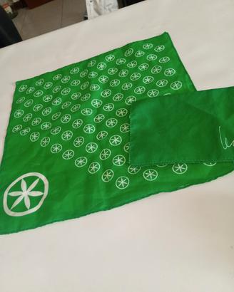 2 fazzoletti da taschino Lega Nord Bossi 
