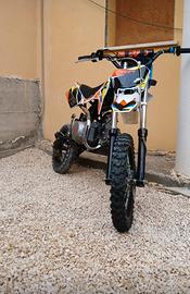 Pit bike 110 limited edition