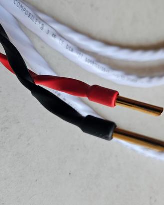 Cavi di potenza Wireworld Solstice 8