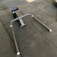 Dip station lacertosus