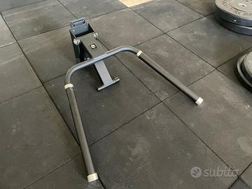 Dip station lacertosus