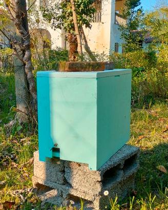 Nucleo Api Apicoltura