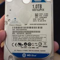 Hard Disk SATA 500 GB e 320 GB Western Digital