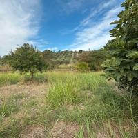 Terreno agricolo Caraffa di Catanzaro