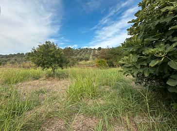 Terreno agricolo Caraffa di Catanzaro