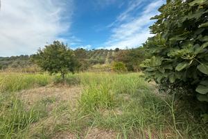 Terreno agricolo Caraffa di Catanzaro