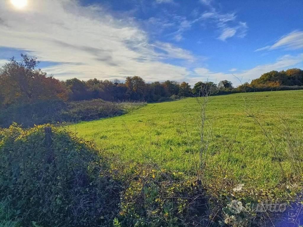 Immobile in asta di 18460 m² a Canino - Vista 3