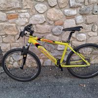 Bicicletta bambina 8-10 anni