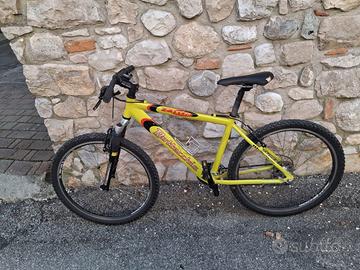 Bicicletta bambina 8-10 anni