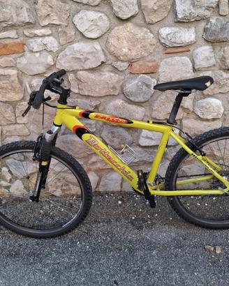 Bicicletta ragazzina 8-10 anni