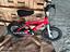 Immagine 5
