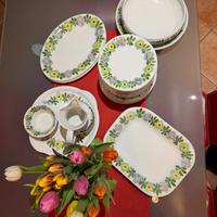 Servizio Richard Ginori Mondovì - 26 pezzi