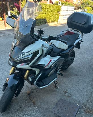 Xadv unico propretario 0 sinistri