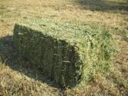 FIENO IN BALLETTE RETTANGOLARI
