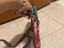 Immagine 3