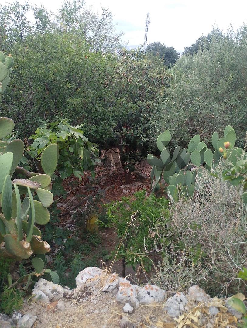 Terreno - Siracusa - Altro