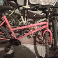 Mountain bike Shimano steel raider 8380