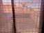 Immagine 28