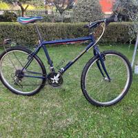 Bicicletta Frecce Tricolori